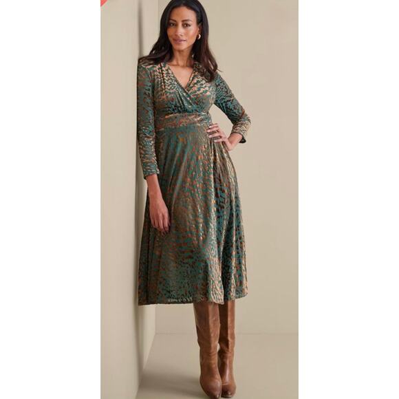 Soft Surroundings Dresses & Skirts - Soft Surroundings Shae Dress Velvet Burnout Animal Print Midi Large Petite